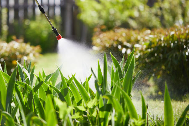 Tamper-Resistant Bait Stations for Rodents in Milbank
