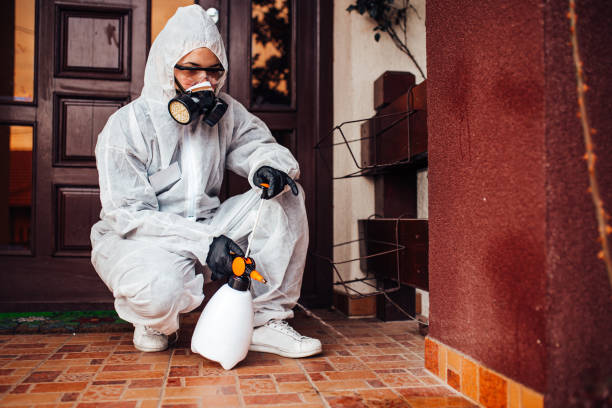 Attic and Crawl Space Rodent Treatment in Milbank