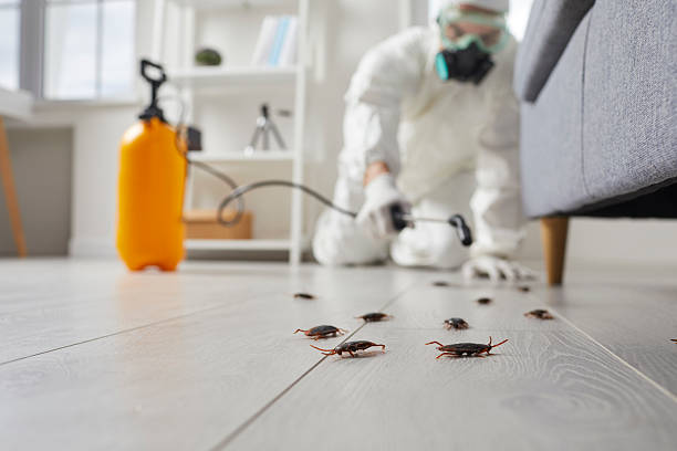 Commercial Rodent Management in Milbank